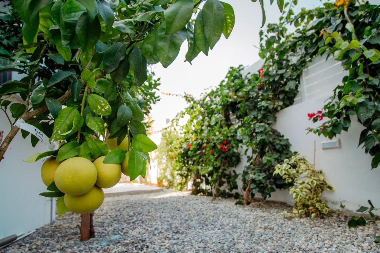 Island Home Seaside Villa Paralimni Exterior photo